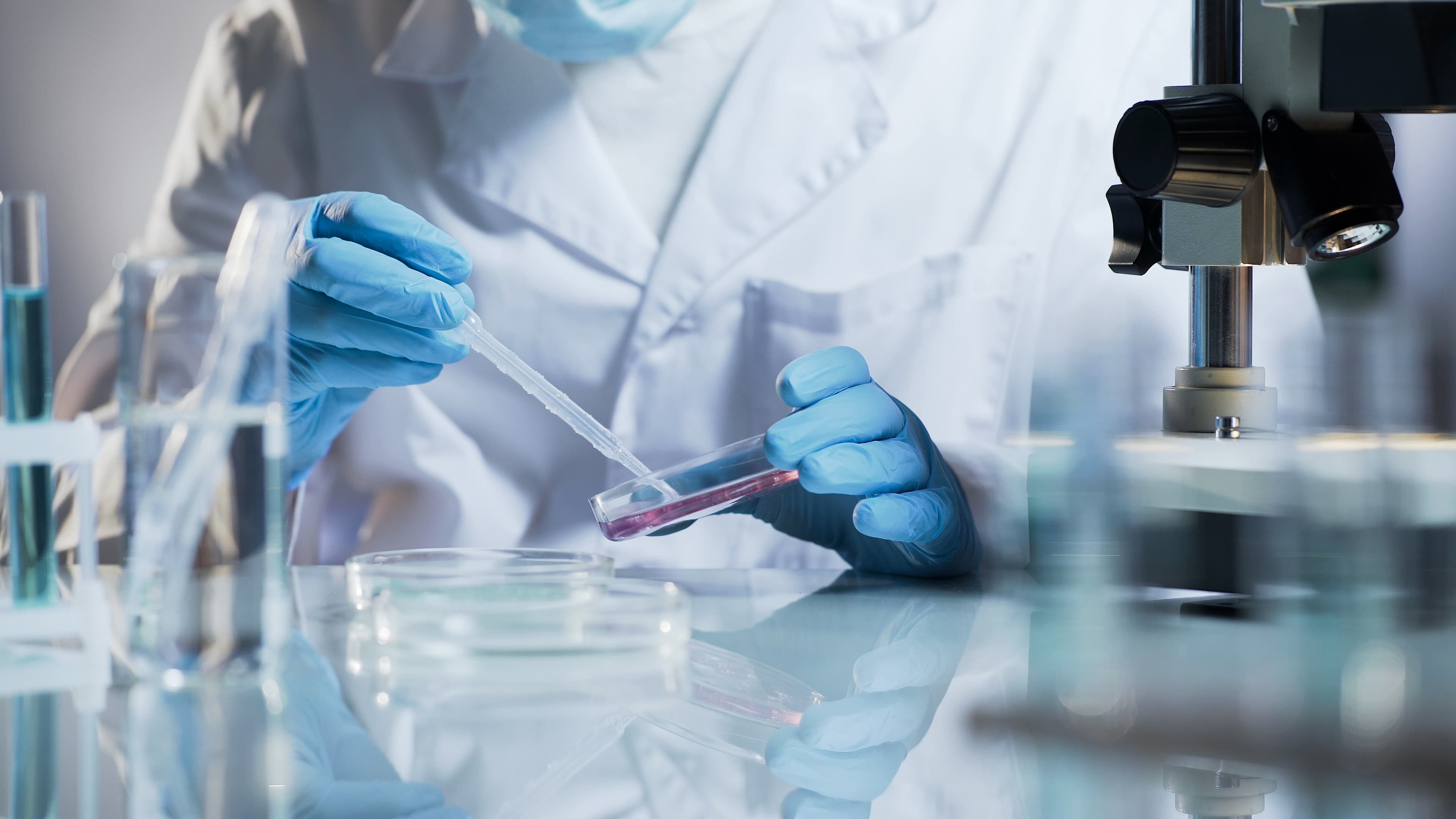 Scientific research in laboratory